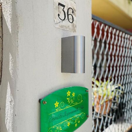 Il Giardino Di Iole Via Giovanni Amendola N36 Bed & Breakfast Сасари Екстериор снимка