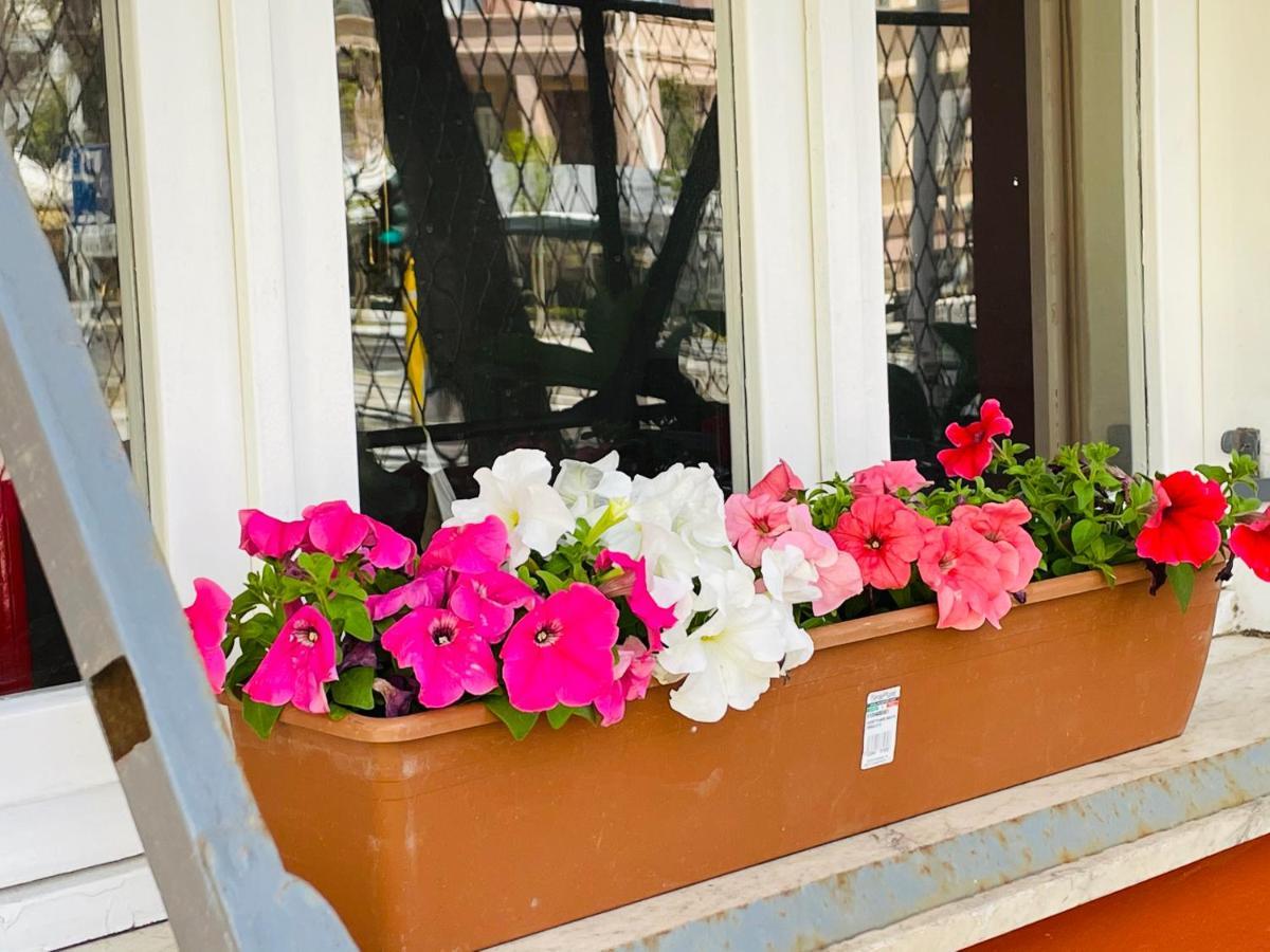 Il Giardino Di Iole Via Giovanni Amendola N36 Bed & Breakfast Сасари Екстериор снимка