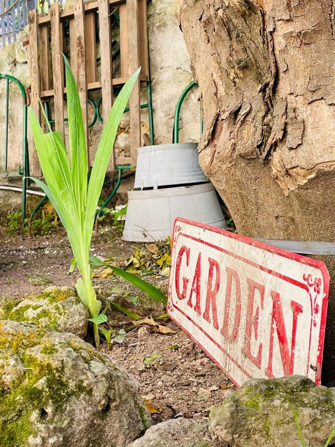 Il Giardino Di Iole Via Giovanni Amendola N36 Bed & Breakfast Сасари Екстериор снимка