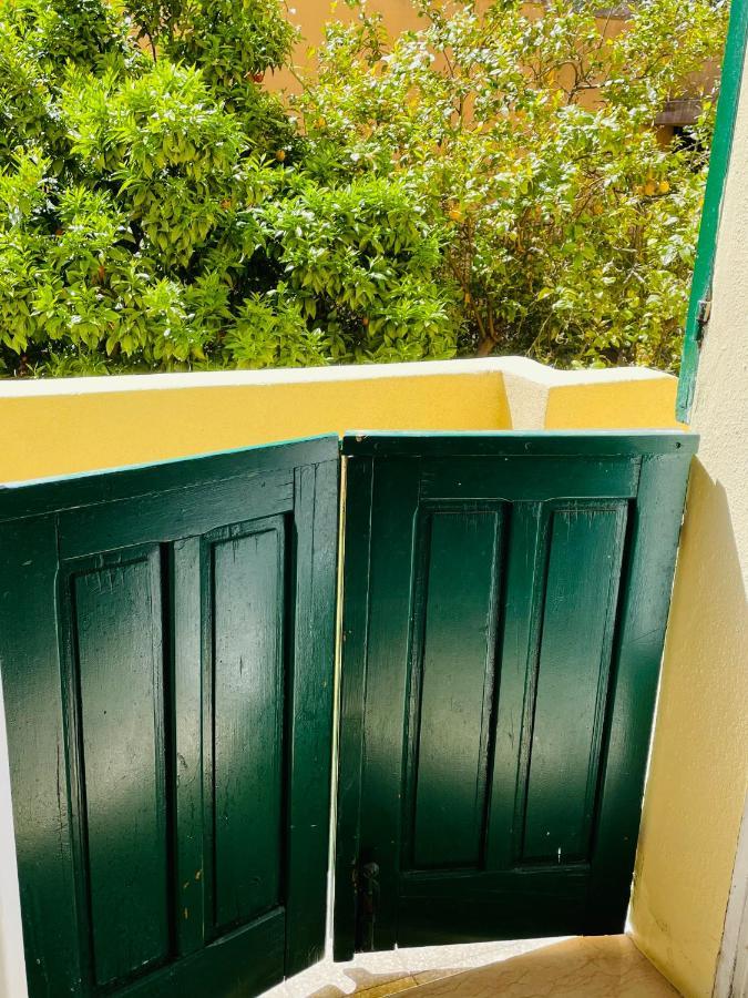 Il Giardino Di Iole Via Giovanni Amendola N36 Bed & Breakfast Сасари Екстериор снимка